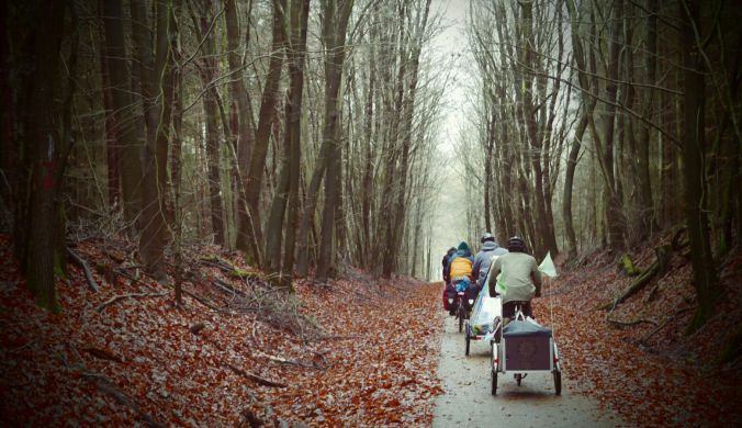 Riding through the forest